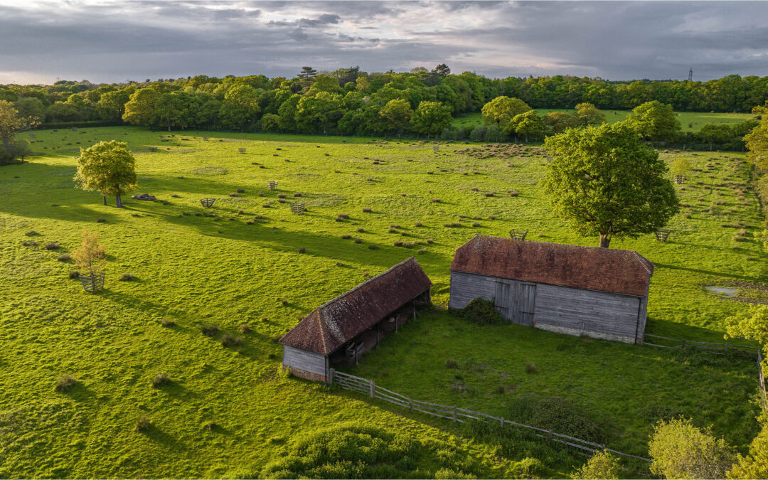 How UK Farms Can Improve Energy Security