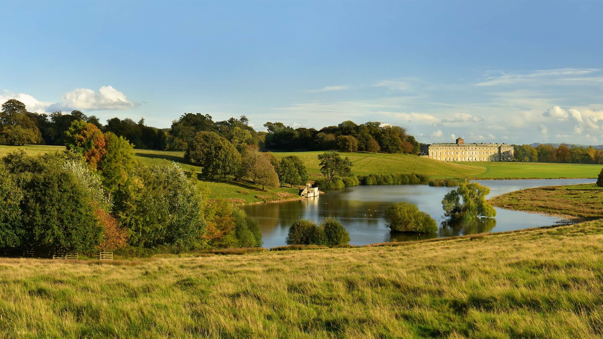 Large Homes & Estate Properties Energy Solutions